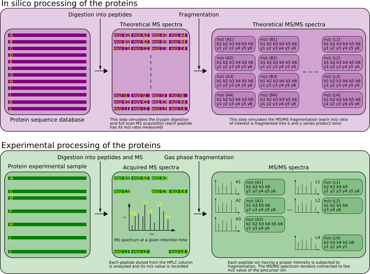 Theoretical and experimental parallel data-producing processes